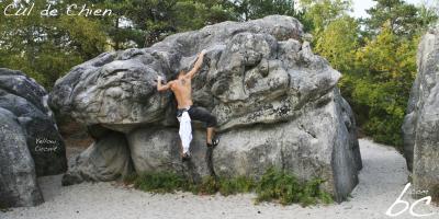 "Yellow Circuit" (2)